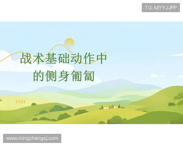 武汉极限运动队快攻战术解析与实战应用探讨